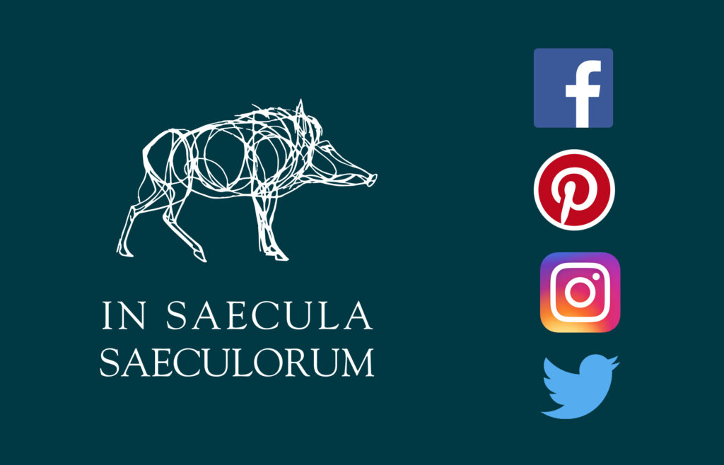 réseaux sociaux et sanglier de Saint-Aubin