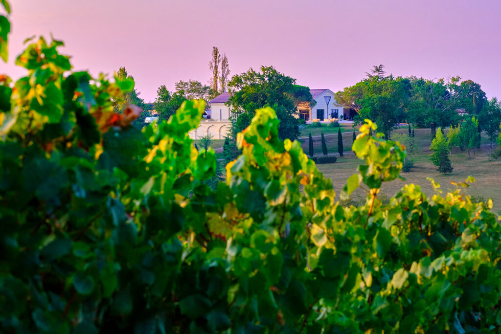Vignoble de Saint-Aubin et chai