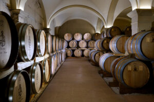 chai du vignoble de Saint-Aubin