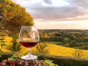 armagnac verre et panorama